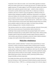 Mokyklos efektyvumas, jos tobulinimas 7 puslapis