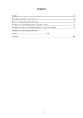 Mokyklos ir šeimos bendradarbiavimas 2 puslapis