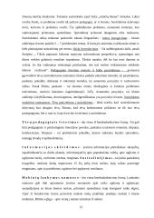 Mokyklos ir šeimos bendradarbiavimas 13 puslapis