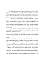 Mokyklos ir šeimos bendradarbiavimas 3 puslapis