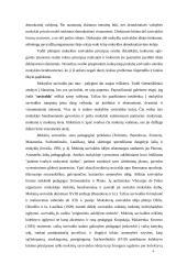 Mokyklų savivaldų sprendimai ir alternatyvūs būdai 6 puslapis