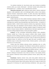 Mokymo ir mokymosi organizavimo formos 11 puslapis