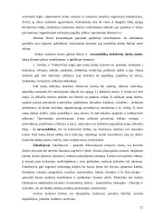 Mokymo ir mokymosi organizavimo formos 12 puslapis