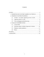 Mokymo ir mokymosi vaikų darželyje specifika 2 puslapis