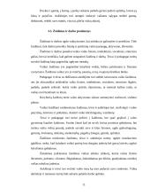 Mokymo ir mokymosi vaikų darželyje specifika 11 puslapis