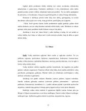 Mokymo ir mokymosi vaikų darželyje specifika 12 puslapis