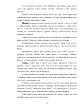 Mokymo ir mokymosi vaikų darželyje specifika 13 puslapis