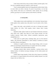 Mokymo ir mokymosi vaikų darželyje specifika 9 puslapis