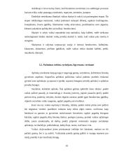 Mokymo ir mokymosi vaikų darželyje specifika 10 puslapis