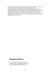 Mokymosi motyvacija, skatinimo būdai 13 puslapis