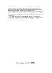 Mokymosi motyvacija, skatinimo būdai 3 puslapis