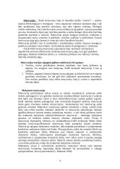 Mokymosi motyvacija, skatinimo būdai 4 puslapis