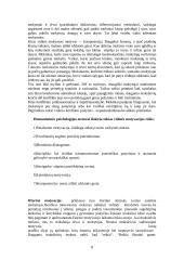 Mokymosi motyvacija, skatinimo būdai 8 puslapis