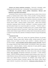 Mokymosi visą gyvenimą koncepcija Lietuvoje 11 puslapis