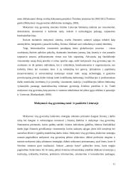 Mokymosi visą gyvenimą koncepcija Lietuvoje 12 puslapis