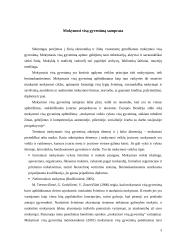 Mokymosi visą gyvenimą koncepcija Lietuvoje 4 puslapis