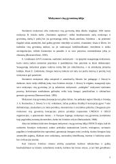 Mokymosi visą gyvenimą koncepcija Lietuvoje 6 puslapis