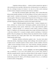 Mokytojo reikšmė ugdymo procese 6 puslapis