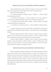 Moksleivių pažangos ir pasiekimų vertinimas 3 puslapis