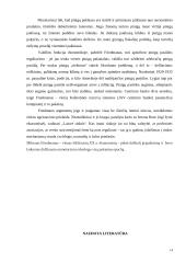 Monetarinė politika ir ideologija 13 puslapis
