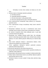Monopolinė kainodara 14 puslapis