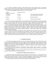 Montessori ugdymo sistema 7 puslapis