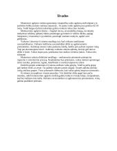 Montessori ugdymo sistema 10 puslapis