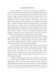 Moterų užimtumo klausimas Lisabonos strategijoje 3 puslapis