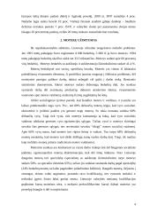 Moterų užimtumo klausimas Lisabonos strategijoje 4 puslapis