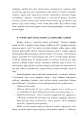 Moterų užimtumo klausimas Lisabonos strategijoje 7 puslapis