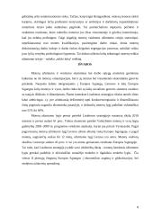 Moterų užimtumo klausimas Lisabonos strategijoje 8 puslapis