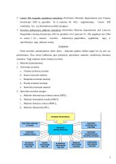 Muitinės teisės šaltiniai ir jų rūšys: poįstatyminiai teisės aktai 3 puslapis