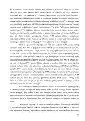 Muitų sistema ir pridėtinės vertės mokestis (PVM) Lietuvoje 13 puslapis