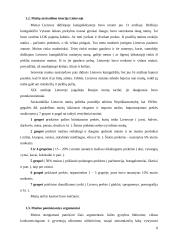 Muitų sistema ir pridėtinės vertės mokestis (PVM) Lietuvoje 6 puslapis