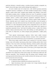 Muitų sistema ir pridėtinės vertės mokestis (PVM) Lietuvoje 7 puslapis