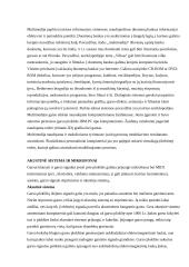 Multimedijos sistema 2 puslapis