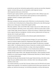 Multimedijos sistema 3 puslapis