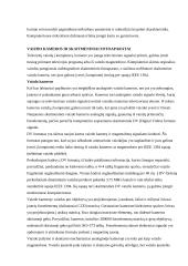 Multimedijos sistema 4 puslapis