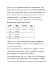 Multimedijos sistema 5 puslapis
