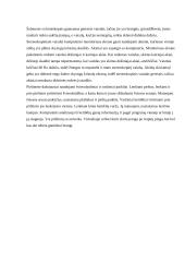 Multimedijos sistema 9 puslapis