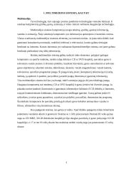 Multimedijos sistemos 3 puslapis