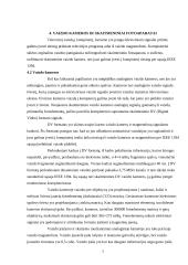 Multimedijos sistemos 7 puslapis