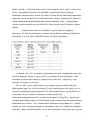 Multimedijos sistemos 8 puslapis