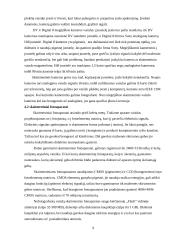 Multimedijos sistemos 9 puslapis