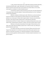 Multimedijos sistemos įranga ir jos rūšys 11 puslapis