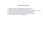 Multimedijos sistemos įranga ir jos rūšys 13 puslapis