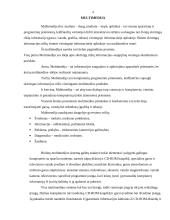 Multimedijos sistemos įranga ir jos rūšys 4 puslapis