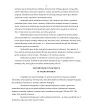 Multimedijos sistemos įranga ir jos rūšys 5 puslapis