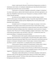 Multimedijos sistemos įranga ir jos rūšys 7 puslapis