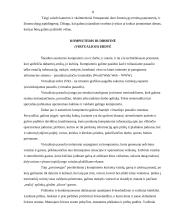 Multimedijos sistemos įranga ir jos rūšys 8 puslapis